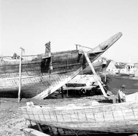 Dhow Harbour 10