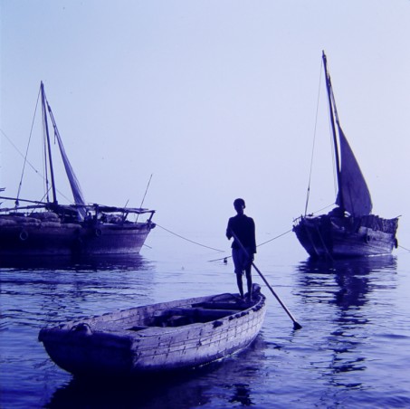 Dhow Harbour 11