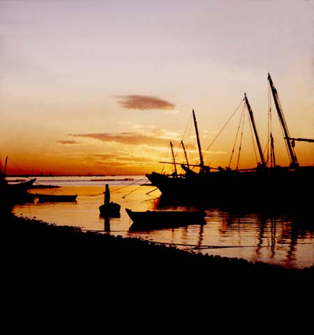 Dhow Harbour 12