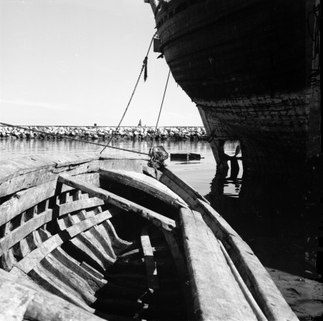 Dhow Harbour 3