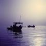 Dhow Harbour 1