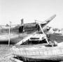 Dhow Harbour 10