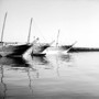 Dhow Harbour 6