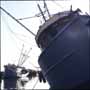 Dhow Harbour 7