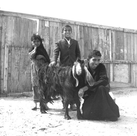 Children with Goat