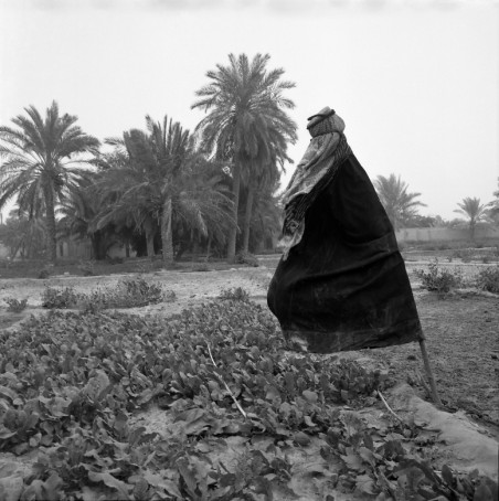 Scarecrow, Jahra