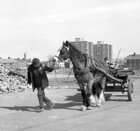 Removal Cart